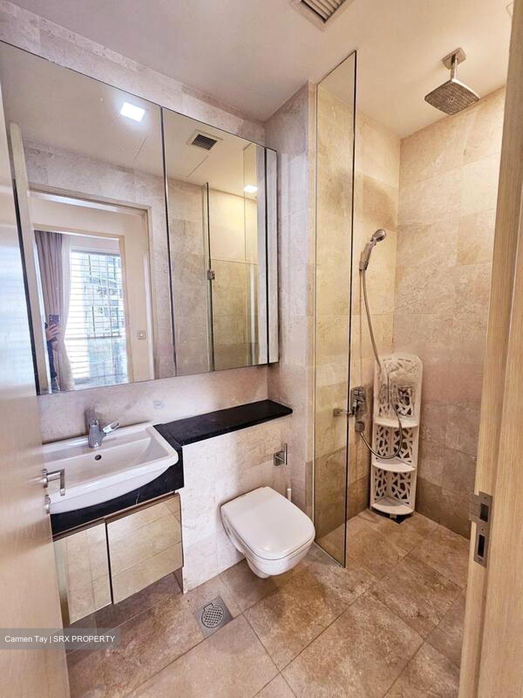 The Boutiq (D9), Apartment #459247291